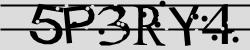 Retype the CAPTCHA code from the image